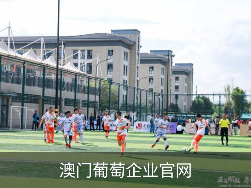 了解澳门葡萄企业官网